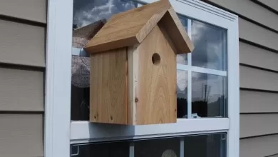 Window BirdHouse