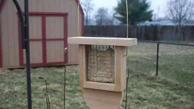 Suet Feeder Finished