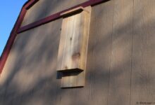 Bat House