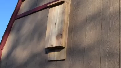 Bat House