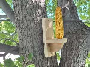 Squirrel Feeder