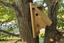 Chickadee House