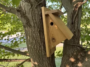 Chickadee House